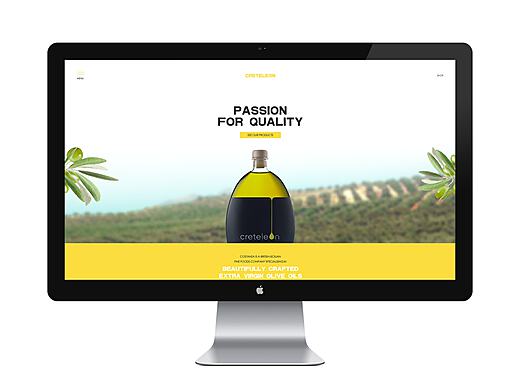 电商视觉 驱动转化的网页设计艺术