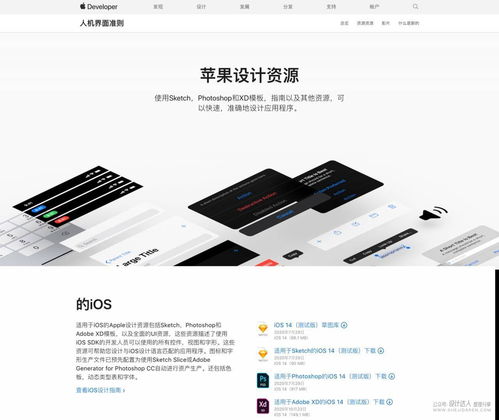 移动端与网页端 设计规范与适配策略全解析