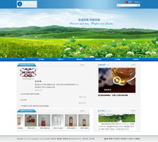 蜂业股份与重庆汉沙科技 以专业网页设计与优化，赋能食品酒业数字化转型