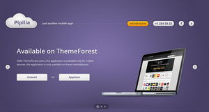 简约而不简单 网站着陆页设计的力量